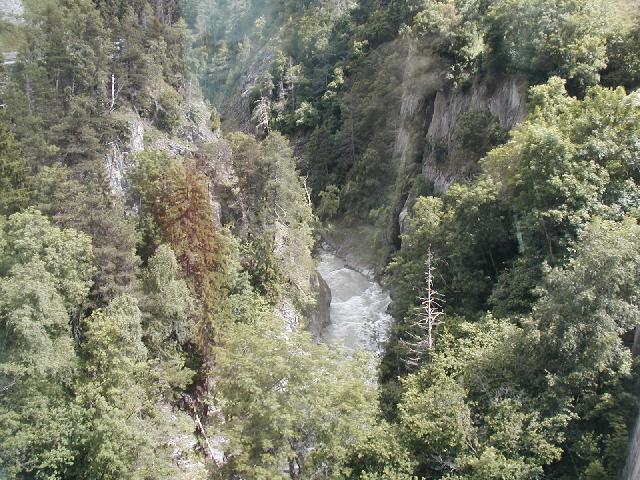 Junge Rhone